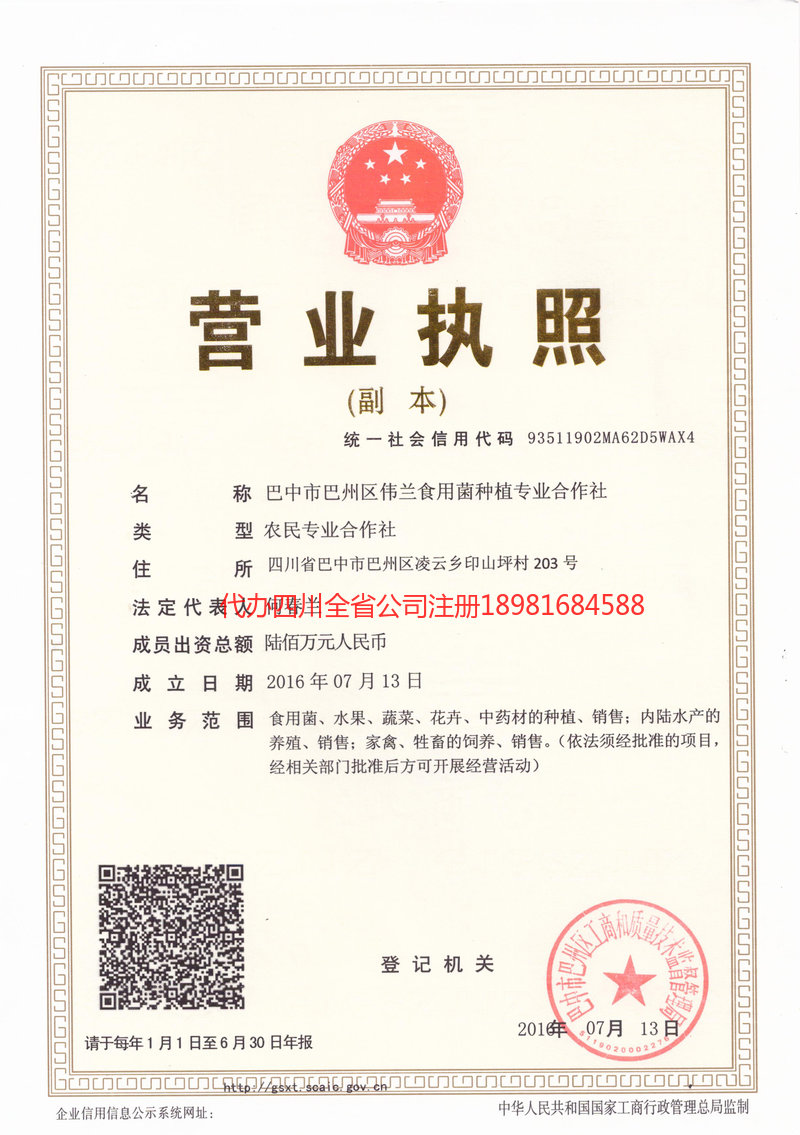 兰州兰州伟兰食用菌种植专业合作社